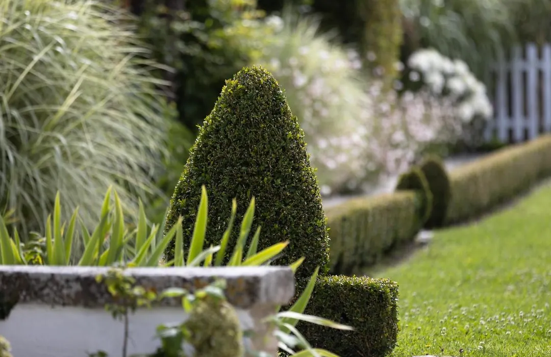 Villa Clarisse & Spa By Olivier Claire-1